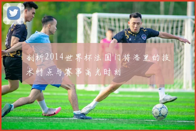 剖析2014世界杯法国门将洛里的技术特点与赛事高光时刻
