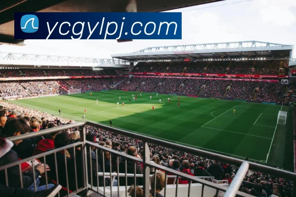 开云app官方版在线入口平台生态图