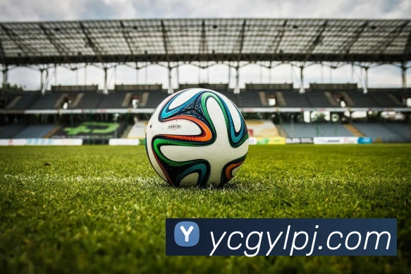 开云app官方版在线入口全站App 开云app官方版在线入口全站App